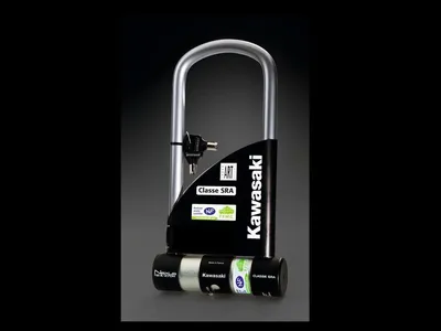 Shackle Locks