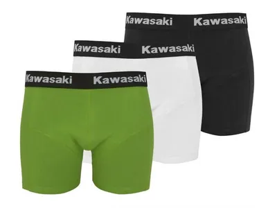 Kawasaki Casual Wear
