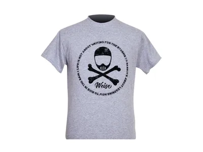 Weise Skull T-Shirt - Grey